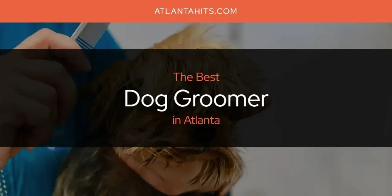 The Absolute Best Dog Groomer in Atlanta  [Updated 2024]