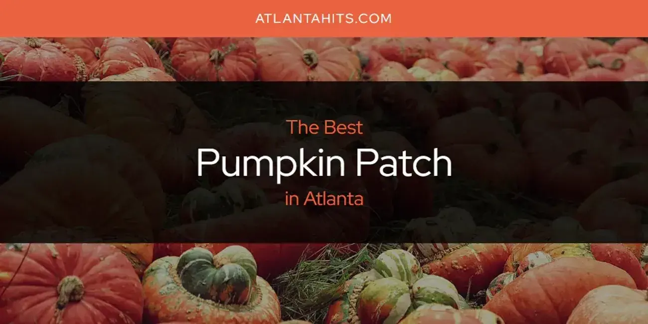 Atlanta's Best Pumpkin Patch [Updated 2024]