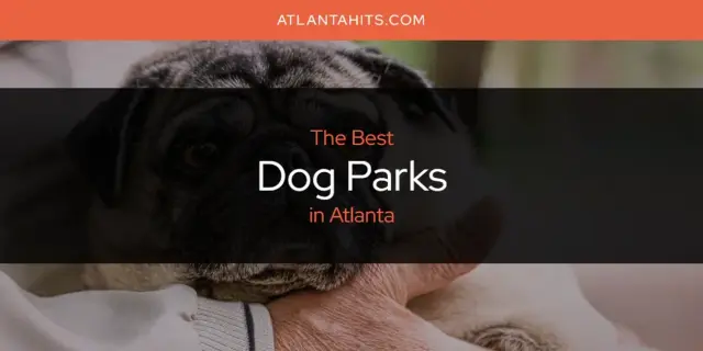 The Absolute Best Dog Parks in Atlanta  [Updated 2024]