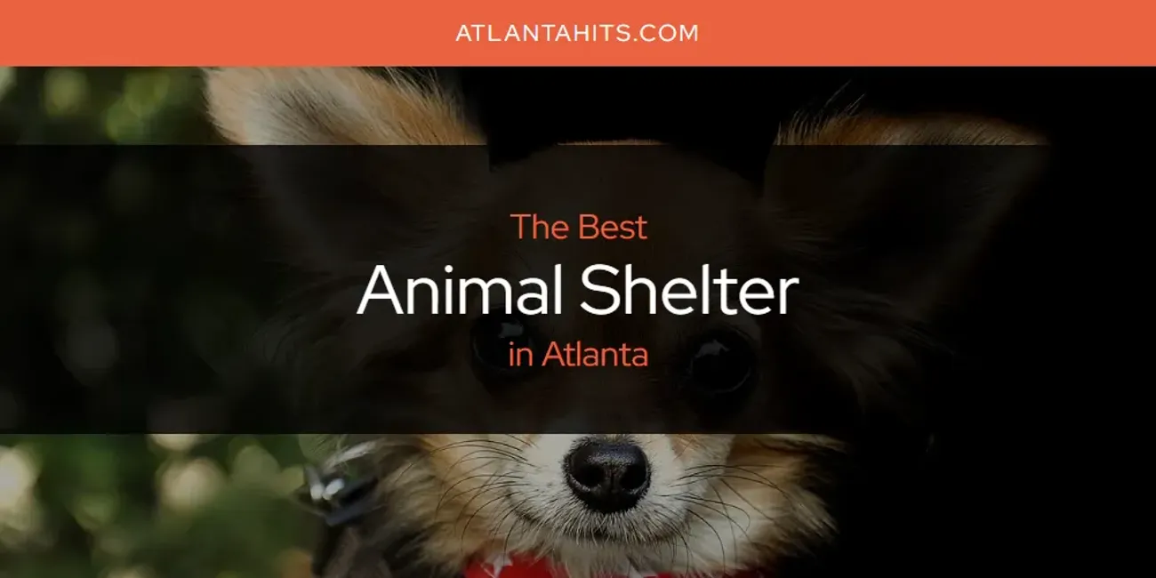 The Absolute Best Animal Shelter in Atlanta  [Updated 2025]