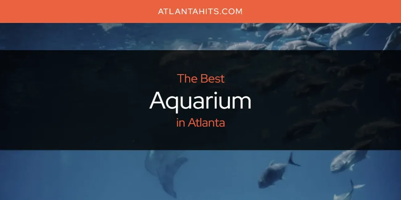 The Absolute Best Aquarium in Atlanta  [Updated 2025]