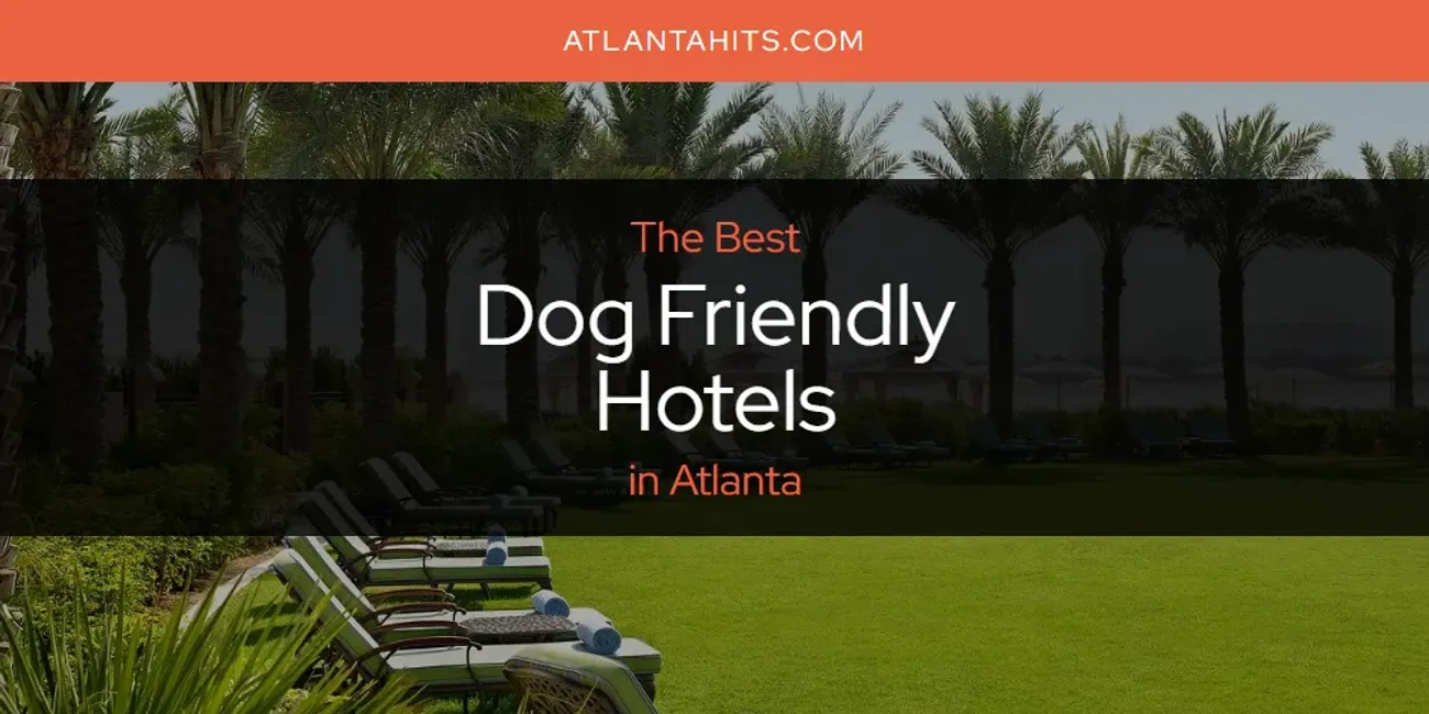 The Absolute Best Dog Friendly Hotels in Atlanta  [Updated 2025]