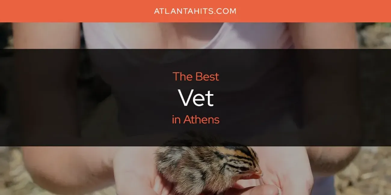 The Absolute Best Vet in Athens  [Updated 2025]